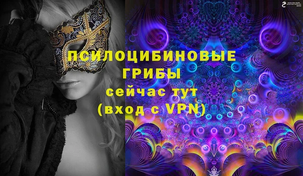 прущие крисы Богородск